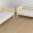 Clear Pine Wooden Bunk Bed with Drawer – Dimensions and Diagram, Nizio