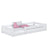 Low Bed N02 Wooden in Custom RAL/NCS Color – Solid Wood, Nizio